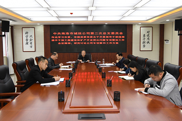 中共商洛市城投公司總支委員會(huì)召開(kāi)領(lǐng)導(dǎo)干部違規(guī)插手干預(yù)工程建設(shè)和礦產(chǎn)開(kāi)發(fā)突出問(wèn)題專項(xiàng)整治工作動(dòng)員會(huì)