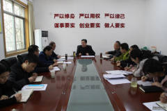 中共商洛市城投公司黨支部支部書(shū)記述職評(píng)議會(huì)