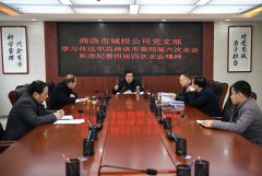 商洛市城投公司黨支部學習傳達中共商洛市委四屆六次全會和市紀委四屆四次全會精神