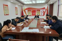 公司第二支部開(kāi)展“戴黨徽、亮身份、亮標(biāo)準(zhǔn)、亮承諾、展先鋒”主題黨日活動(dòng)