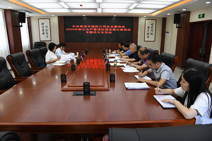 市城投公司領(lǐng)導班子召開趙正永嚴重違紀違法案以案促改專題民主生活會
