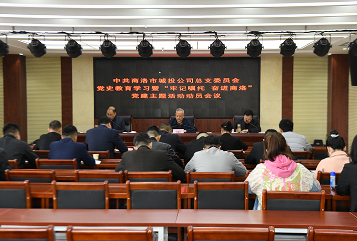 公司黨總支召開黨史學(xué)習(xí)教育暨“牢記囑托、奮進商洛”黨建主題活動動員會議